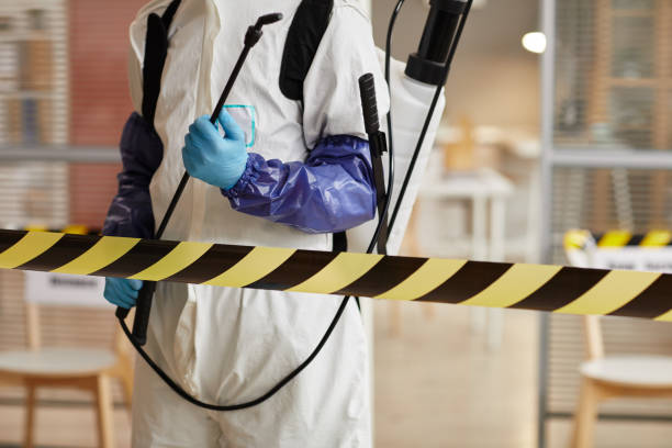 Professional Sewage Cleanup technician working in Brewster, MA